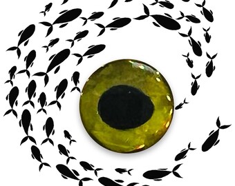 3D Adhesive Eyes for Fishing Lures, Color: Yellow - Etsy