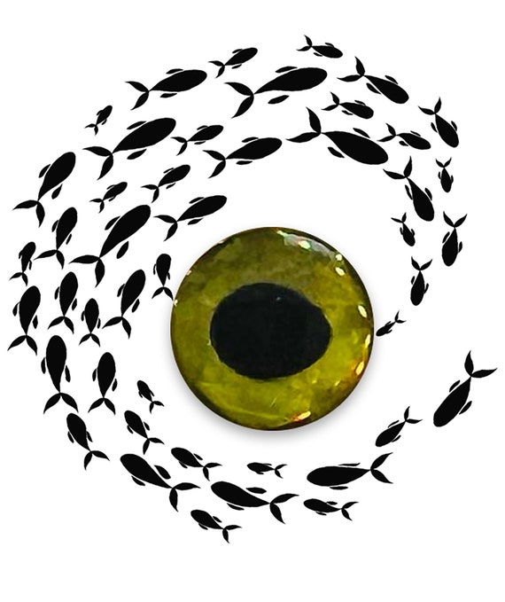 3D Adhesive Eyes for Fishing Lures, Color: Yellow - Etsy