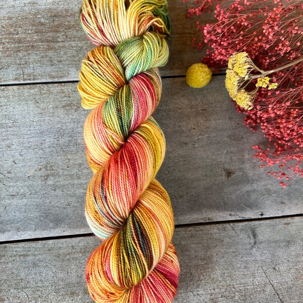 Hand-dyed wool Merino Nylon fingering superwash Africa Rose