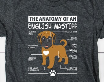 english mastiff apparel