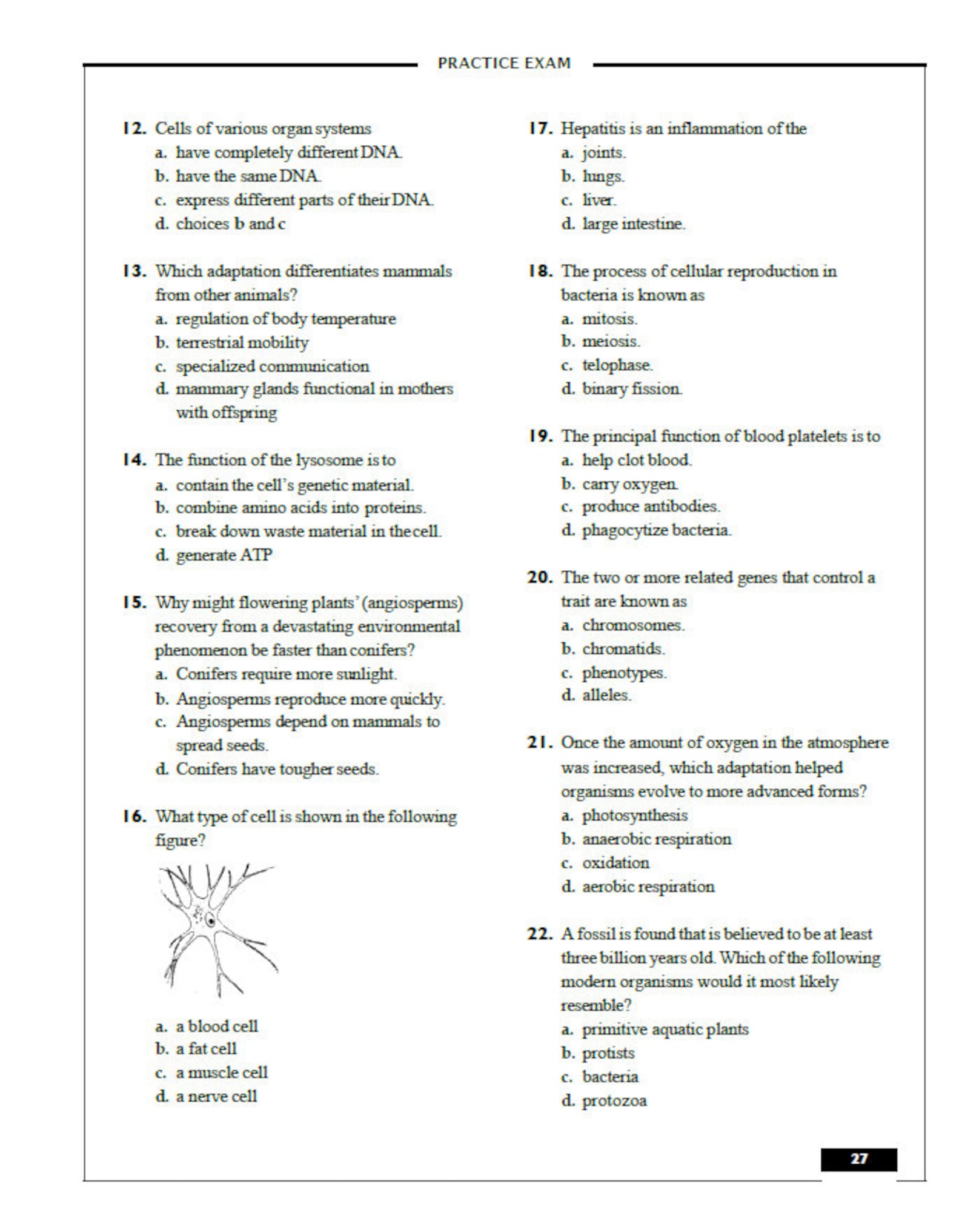 2022 2023 ATI TEAS Practice Exam 295 Practice Questions With Etsy