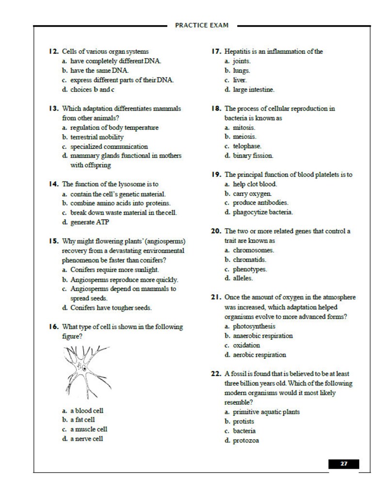 Get 90 On Your TEAS Exam Updated 2022 2023 ATI TEAS Practice Etsy UK