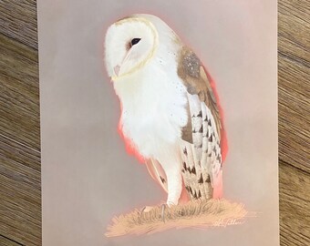 Boogie the Barn Owl 11x14 in Glossy Print