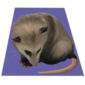 Autocollant opossum trapézoïde