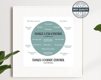 May include: A framed print with a white border, featuring a teal circular diagram with the text "Things I Can Control" and "Things I Cannot Control." The diagram lists various aspects of life. A "Best Quality" seal is in the top right corner. Green plants are in the foreground.