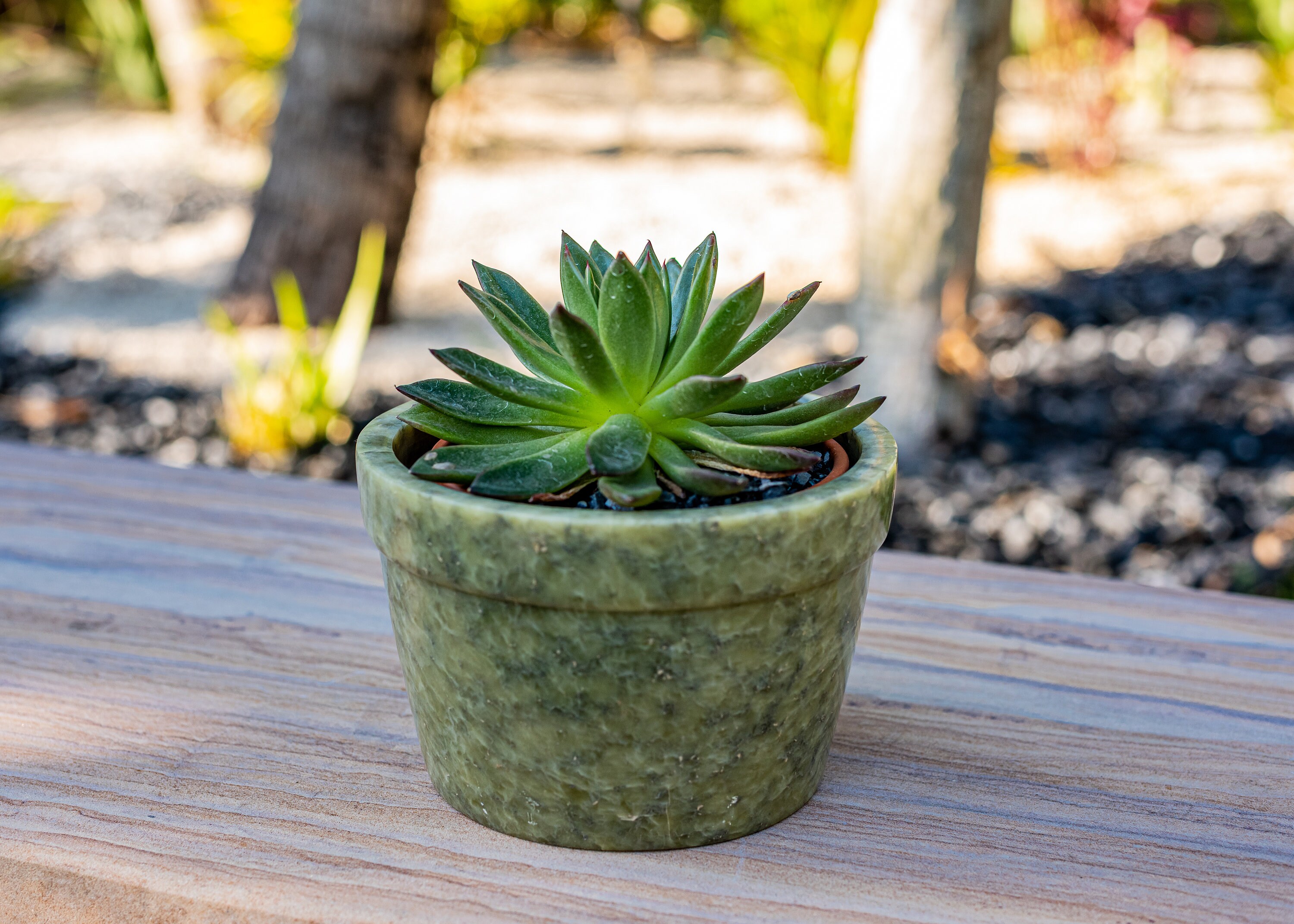 Speckled Marble Rim Planter Succulent Planter Orchid Etsy