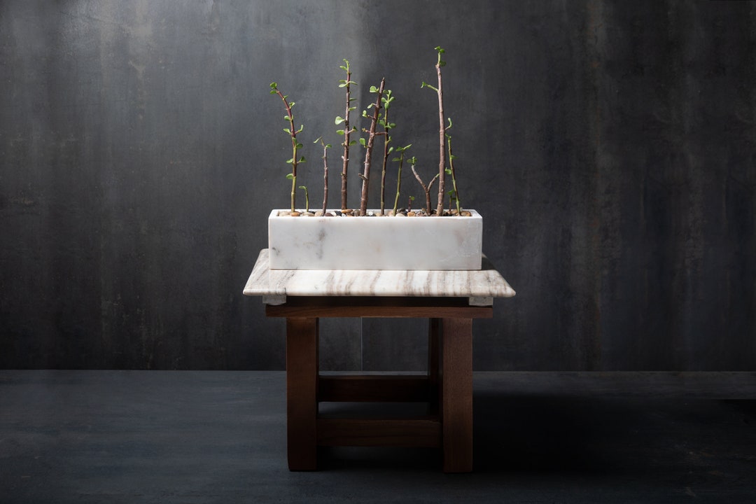Rectangle Genuine Marble Pots Succulent Planter Orchid Planter Pots for Plants Modern Small
