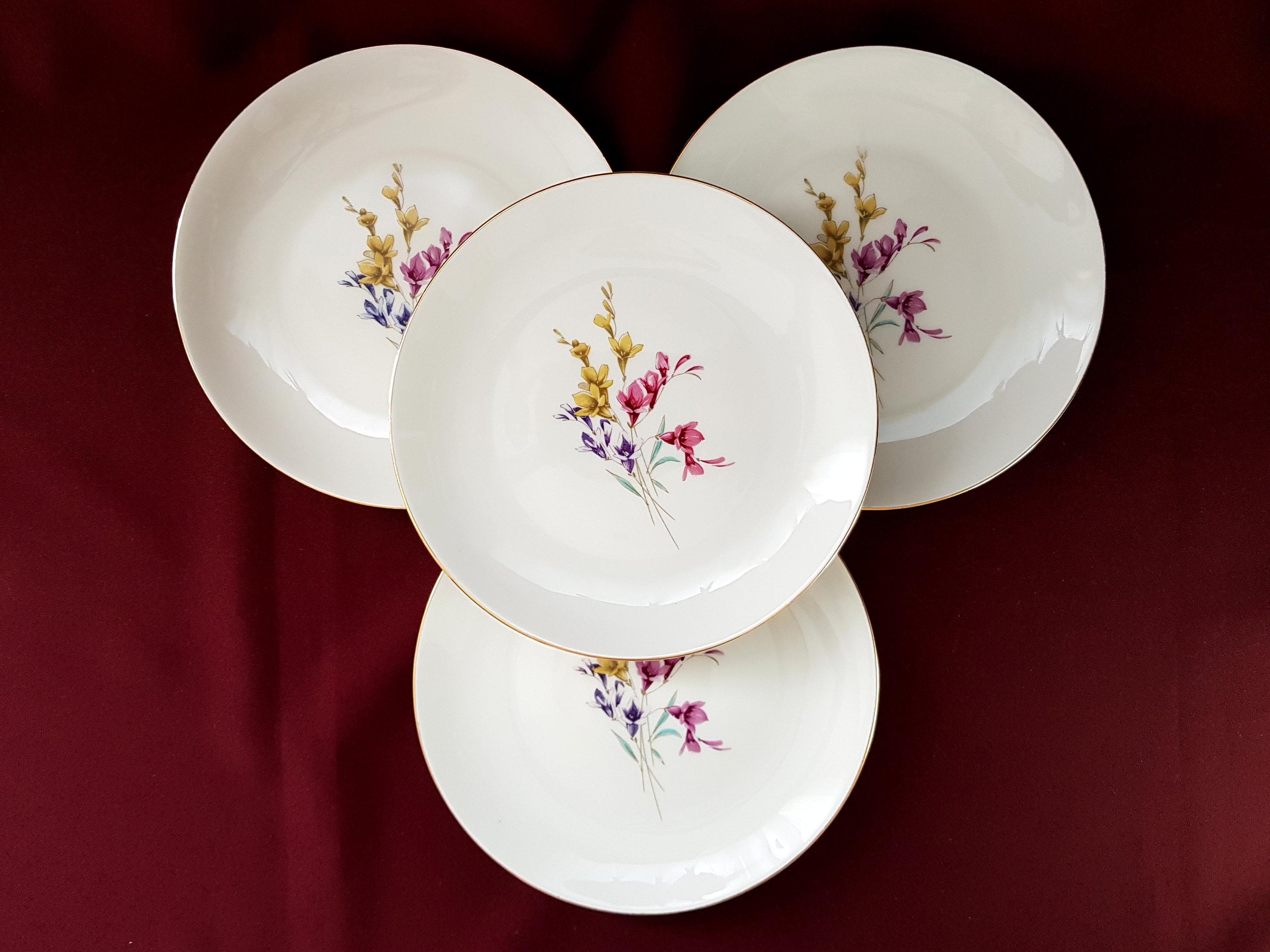 Revol plate - Etsy 日本