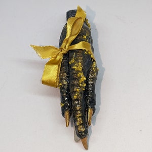 Mumified Chickens paw with crystals. Witchy. Occult, Wicca, pagan, voodoo.