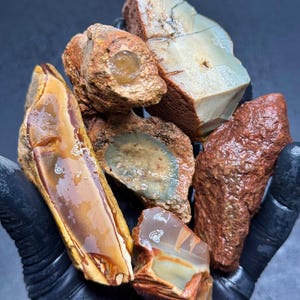 Hart Mountain Jasper - Oregon Rough - 288g