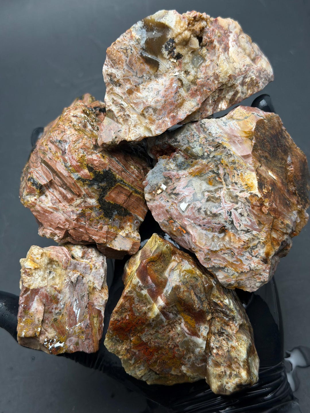 Eagle Rock Plume Agate Rough Rock Lot - Oregon Lapidary - Etsy
