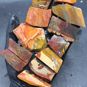 Indian Paint Stone + Owyhee Jasper Slabs – Cabbing Preforms Lot (12)