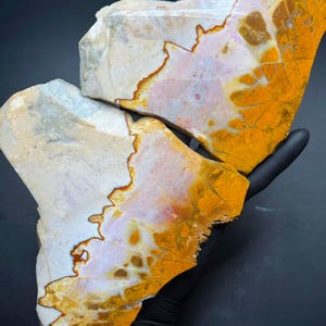 Oregon Sunset Jasper Slabs (2) Lapidary