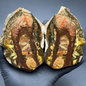 May include: Two matching halves of a polished petrified wood specimen featuring a complex pattern of deep brown, vibrant orange, and creamy yellow mineral inclusions. The stone displays a rough, textured outer edge with a smooth, glossy interior.