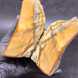 Diaspro Owyhee "War Paint" spaccato su roccia grezza - Oregon Lapidary