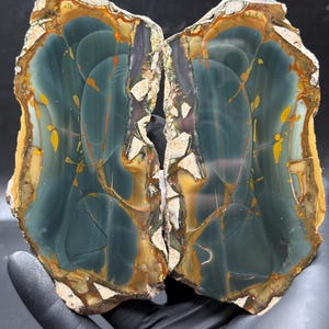 Polished* Blue Mountain Jasper Slabs (2) Set - Oregon