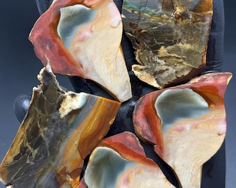 Puede incluir: Varias losas de piedra pulida con una variedad de colores. Las piedras, de forma irregular, presentan patrones y texturas únicos. La colección de especímenes naturales muestra tonos de rojo, naranja, beige y gris.