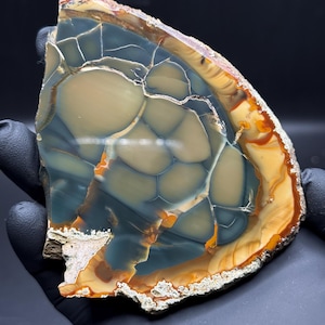 Polished* Blue Mountain Jasper Slab - Oregon