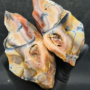 May include: Two pieces of dendritic agate featuring translucent tan, orange, and cream-colored bands. Each stone displays dark, fern-like manganese oxide inclusions and a central cavity filled with small, textured, reddish-brown mineral crystals.