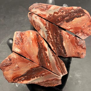 May include: Four pieces of a cut stone with a striking pattern of red, brown, and white veining. The stone is held in a gloved hand, showcasing the natural colors and textures. The cut reveals the internal layers of the stone.