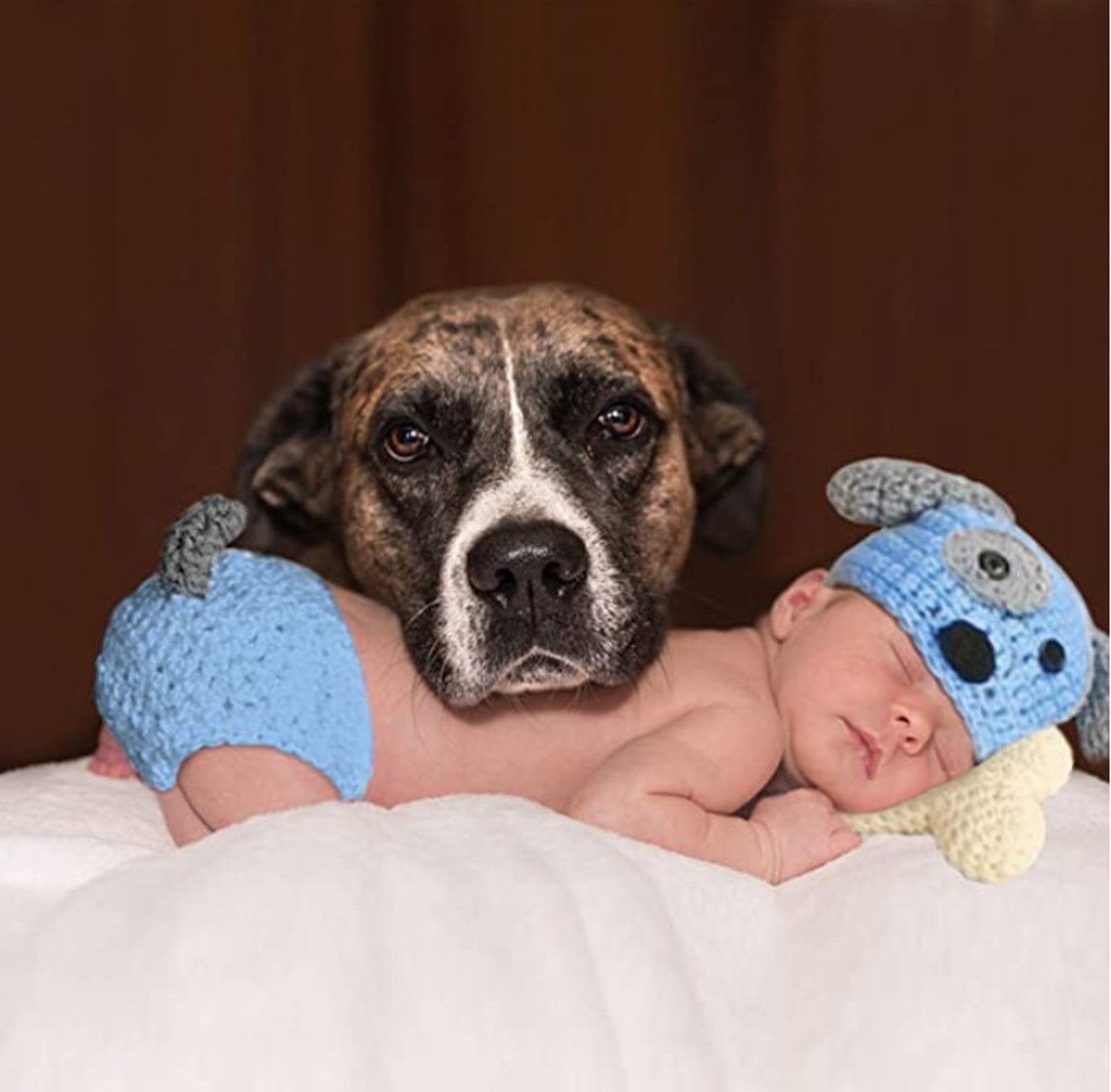 Puppy Ears and Tail Crochet Dog Hat Crochet Puppy Hat 3 Etsy