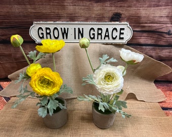 Potted Silk Ranunculus