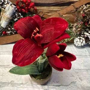 May include: A vibrant, artificial red amaryllis flower arrangement in a small, round pot. The arrangement features large, velvety petals and a few green leaves. The background includes pine cones, berries, and a wooden element, suggesting a holiday theme.