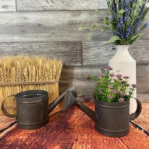 Charming Miniature Watering Can for Indoor Plants