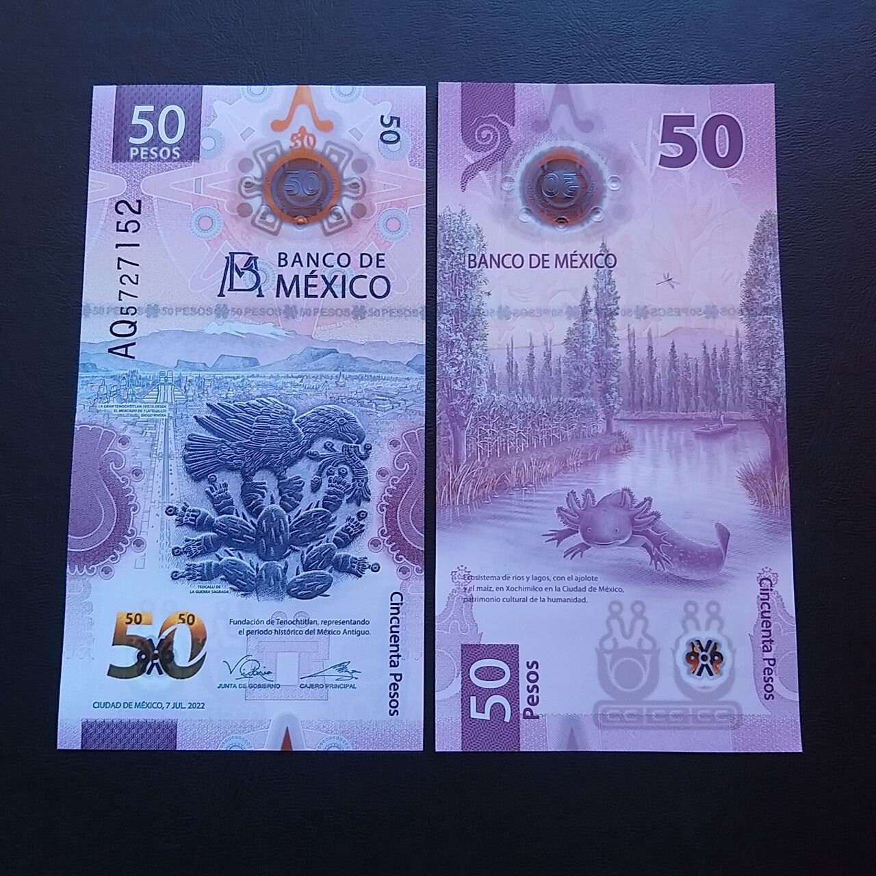 50 Pesos Mexico Axolotl UNC Collection Banknote Polymer Numismatics ...
