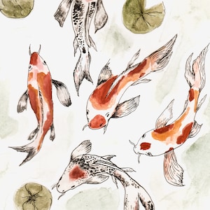 Koi - Longevity Ink and Watercolor Illustration Art Print by Erin Kim