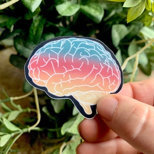 May include: A sticker of a human brain with a gradient of colors from blue to orange. The brain is outlined in black and has white lines showing the folds of the brain.