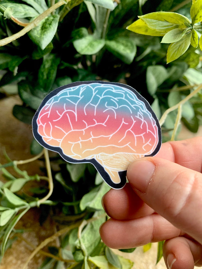 May include: A sticker of a human brain with a gradient of colors from blue to orange. The brain is outlined in black and has white lines showing the folds of the brain.