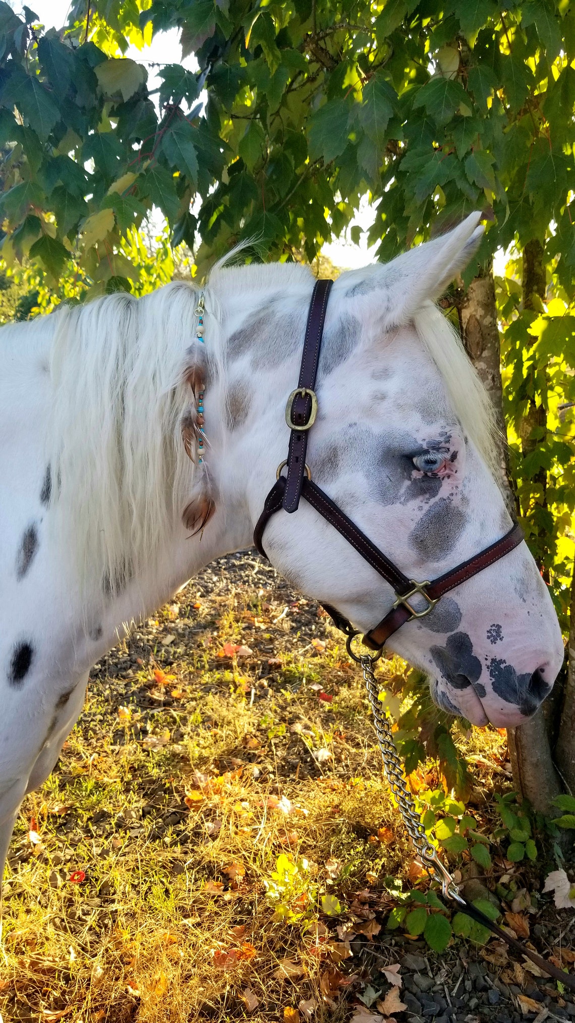 Horse Mane Clip with beads and natural feathers Etsy