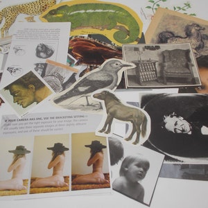 Kit de collage n.° 2: páginas de libros, imágenes recortadas, palabras, troqueles y texturas, paquete de material efímero, materiales para collage