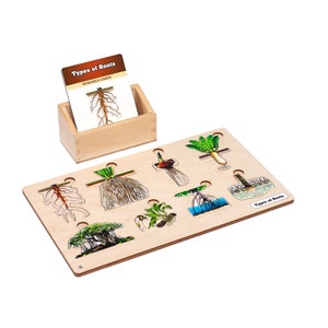 Types of Roots Puzzle | Montessori Materials | Montessori Botany Curriculum | Montessori Puzzle | Homeschooling Materials