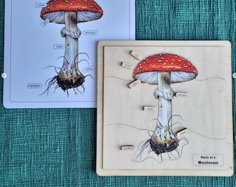 Montessori Parts of a Mushroom Puzzle | Montessori Botany Materials | Montessori Wooden Materials | Mushroom Puzzle | Montessori Puzzle