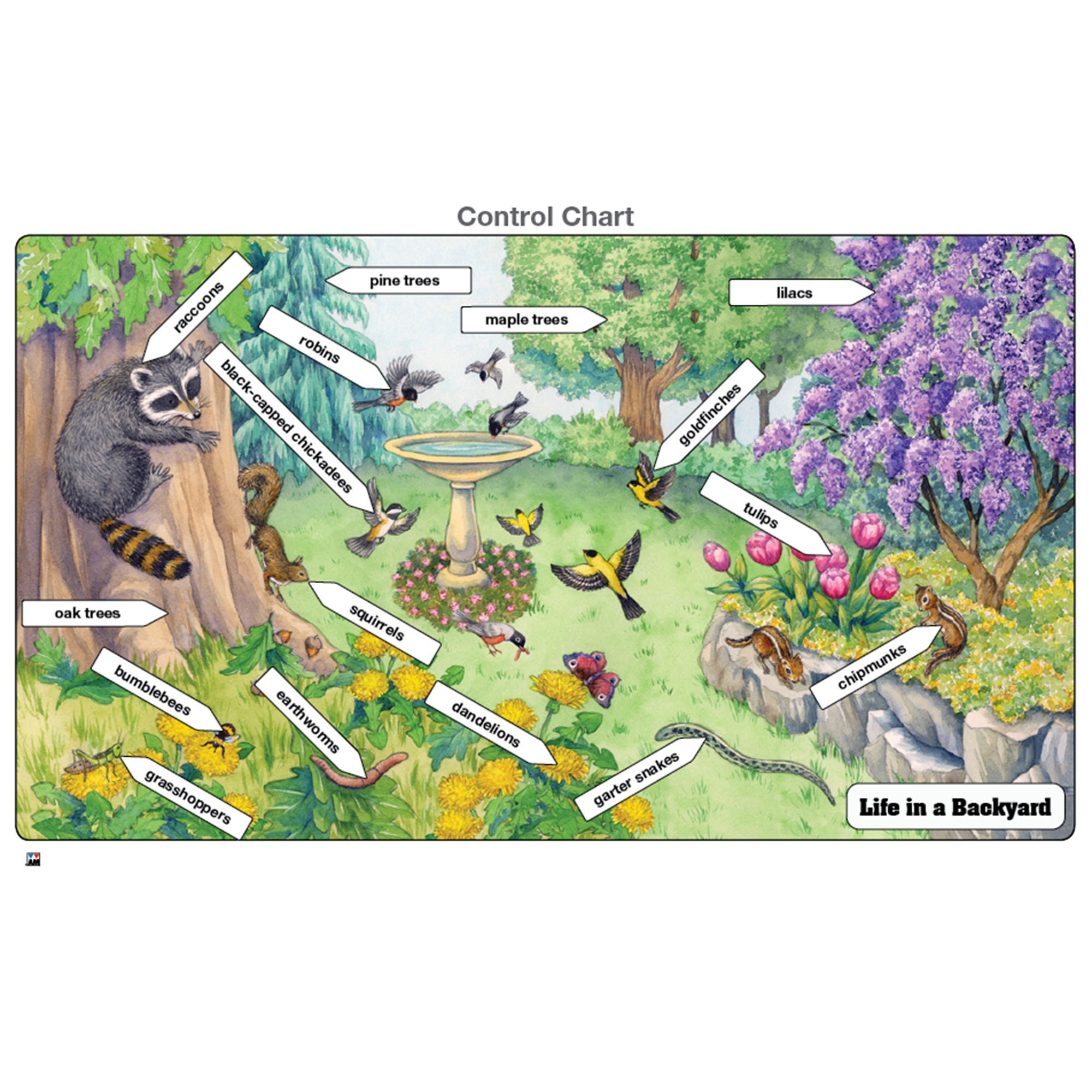 Life in a Backyard Puzzle | Montessori Puzzles | Backyard Animals ...