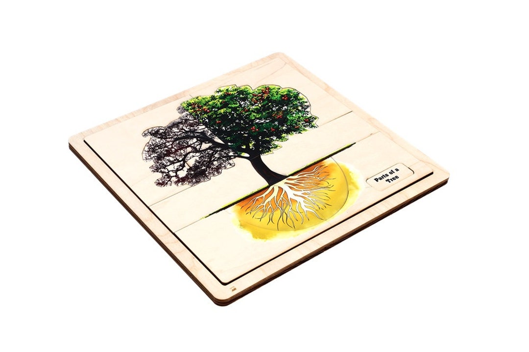 Parts of a Tree Puzzle With Nomenclature Cards (printed) (3-6 ...