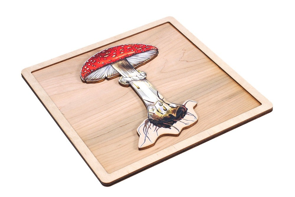 Parts of a Mushroom Puzzle With Nomenclature Cards (6-9) | Montessori ...