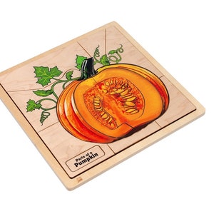 Parts of a Pumpkin puzzle with Nomenclature Cards (6-9) | Montessori Puzzles | Botany Puzzles | Montessori Three Part Cards