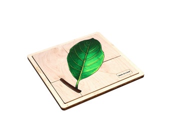 Montessori Wooden Leaf Puzzle: Hand Drawn Botany Anatomy