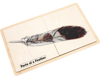 Parts of a Feather Puzzle | Montessori Material | Montessori Science | Educational Material