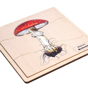 Parts of a Mushroom Puzzle with Nomenclature Cards (3-6) | Montessori Puzzles | Montessori Botany | Montessori Three Part Cards