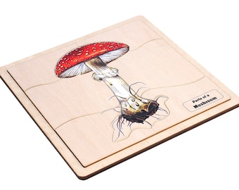 Parts of a Mushroom Puzzle with Nomenclature Cards (3-6) | Montessori Puzzles | Montessori Botany | Montessori Three Part Cards