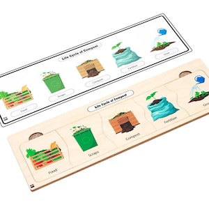 May include: A wooden puzzle with a life cycle of compost theme. The puzzle pieces show food scraps, compost, fertilizer, and a plant growing. The puzzle is made of wood and has a natural finish.