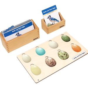 May include: A wooden box with a set of cards and a matching wooden tray with cutouts for matching eggs. The cards feature pictures of birds and their eggs. The tray has a label that reads "Birds and Their Eggs".