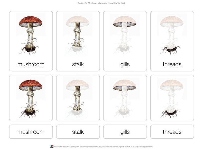Parts of a Mushroom Puzzle With Nomenclature Cards (3-6) | Montessori ...