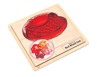 Casse-tête Globules rouges - Biologie Montessori dessinée à la main