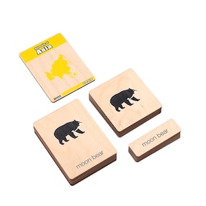 Animals of Asia Wooden Nomenclature Cards | Montessori Curriculum Materials | Montessori Printable | Matching Cards | Animals Cards