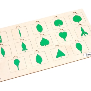 May include: Wooden puzzle featuring various green leaf shapes. The puzzle has cutouts for each leaf, with matching green leaf shapes printed on the wooden board. The text "Types of Leaves" is printed on a white label.